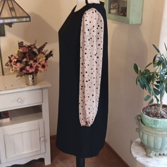 Danny and Nicole LBD With Polka Dot Sleeves. Quiet Luxury - Picture 4 of 10
